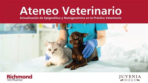 Actualizaci N En Epigen Tica Y Nutrigen Mica En La Pr Ctica Veterinaria