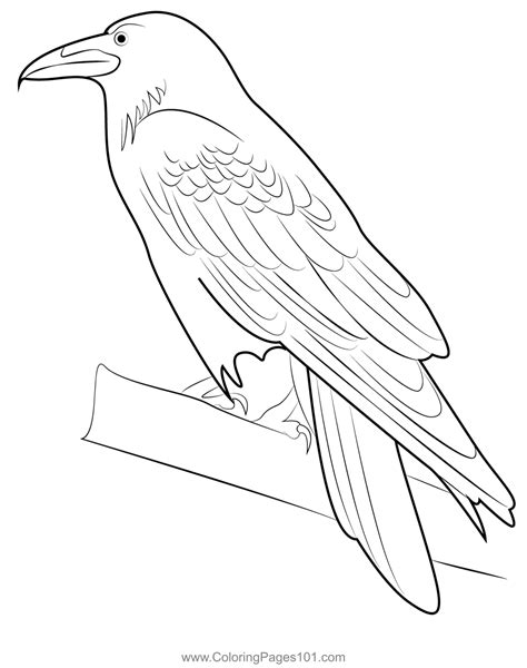 Adult Coloring Pages Raven Coloring Pages