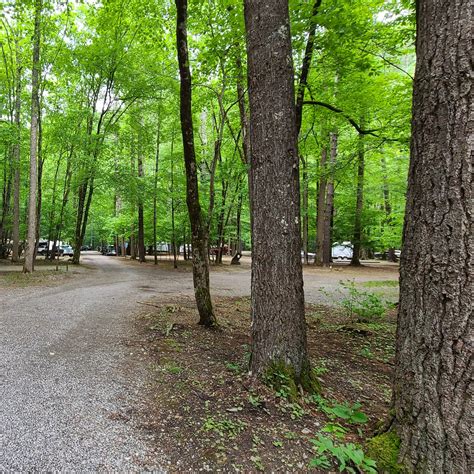 Cataloochee Campground The Dyrt