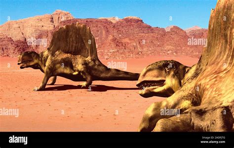 Dimetrodon Pair Artwork Dimetrodon Meaning Two Measure Tooth