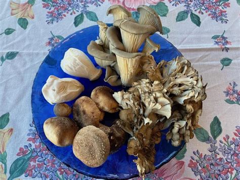 Exotic mushrooms delight the eye and the palate | Cape Gazette