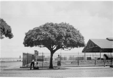 Fragmentos de Belém uma antologia da cidade