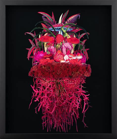 ‘Sundown’ by Jana Nicole by Jana Nicole | Printed Editions