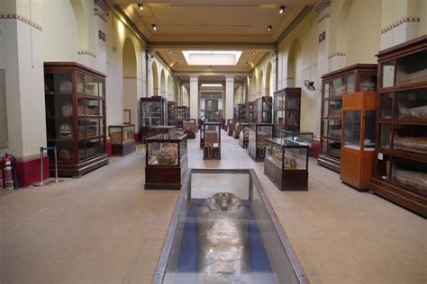 Ancient Mummies in Museum of Egyptian Antiquities in Cairo Editorial Photo - Image of ancient ...