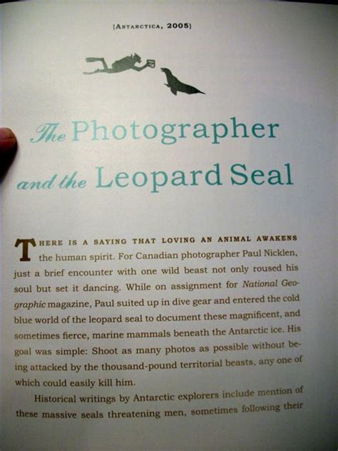 A slight departure... The Leopard Seal and the Photographer. - Horse and Man