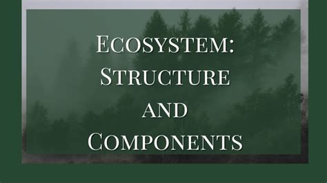 What Is Ecosystem And Its Components