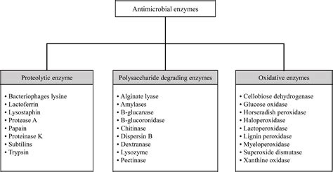 Frontiers An Overview Of Antimicrobial Activity Of Lysozyme And Its