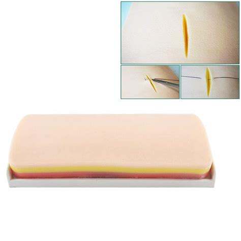 Buy Teaching Model Skin Suture Practice Model Deep Suture Model