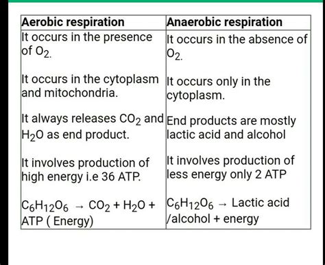 Difference Between Aerobic And Anaerobic Respiration