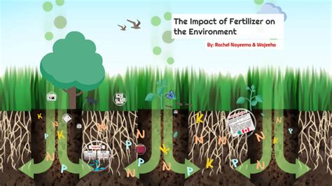 Impact Of Fertilizers On The Environment By Rachel R On Prezi