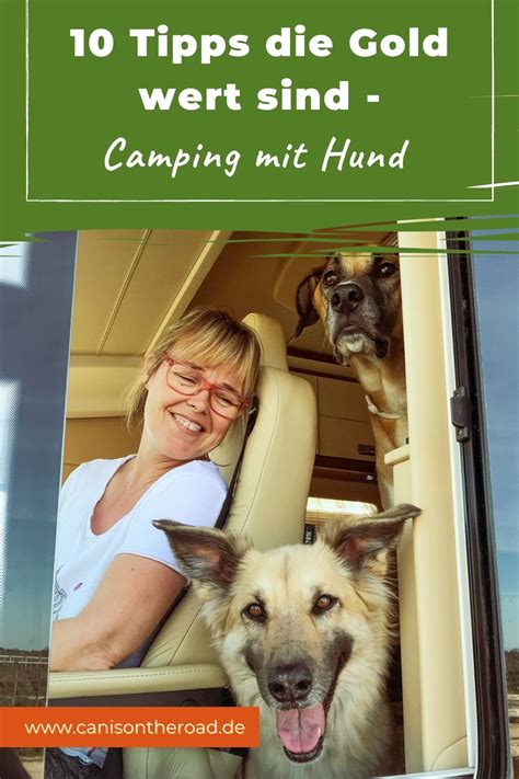 Camping Mit Hund Artofit