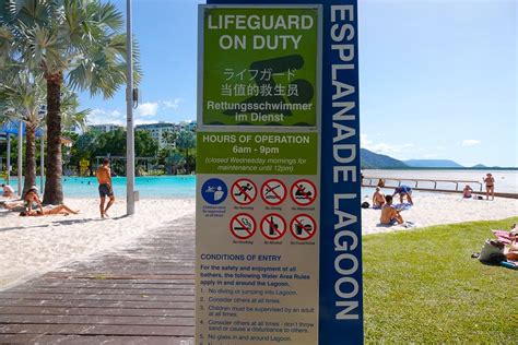 Cairns Esplanade Lagoon Cairns Tours