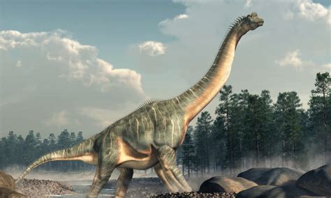 Brachiosaurus Size