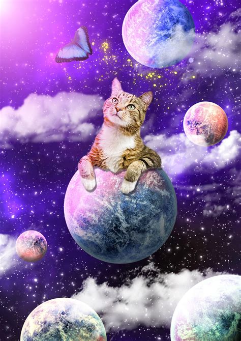 Space Laser Cat Wallpaper