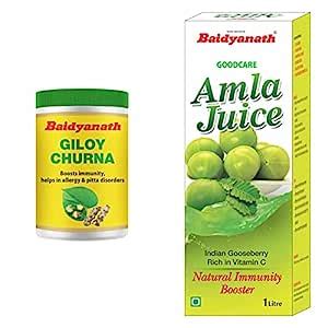 Baidyanath Guduchi Giloy Churna Gm Pack Of Baidyanath