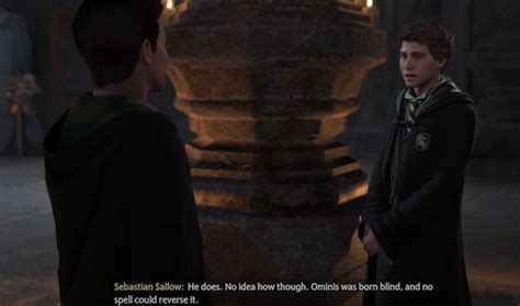 unveiling  magic understanding  story  hogwarts legacy