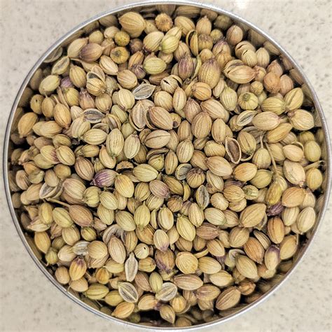 Dhania Seeds Indian Coriander Spice Mountain