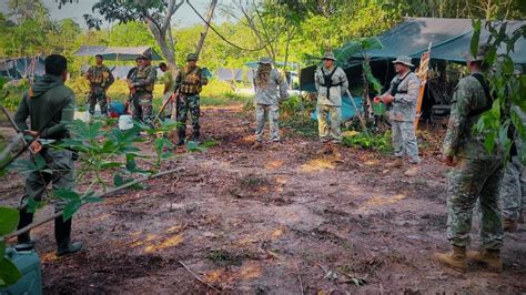 Brigadas De Protección De La Amazonía Un Tema De Seguridad Nacional Y