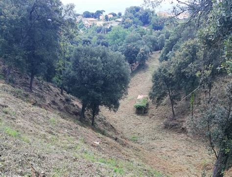 Treballs De Manteniment De La Franja De Protecci Contra Incendis A La