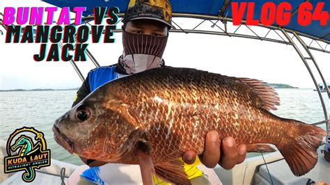 Vlog Ultralight Buntat Vs Mj Pulau Aman Youtube