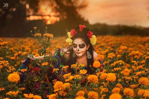 Flores de Día de Muertos: Las 16 más usadas y emblemáticas