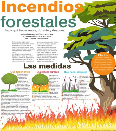 Cómo Prevenir Incendios Forestales By La Patria Issuu