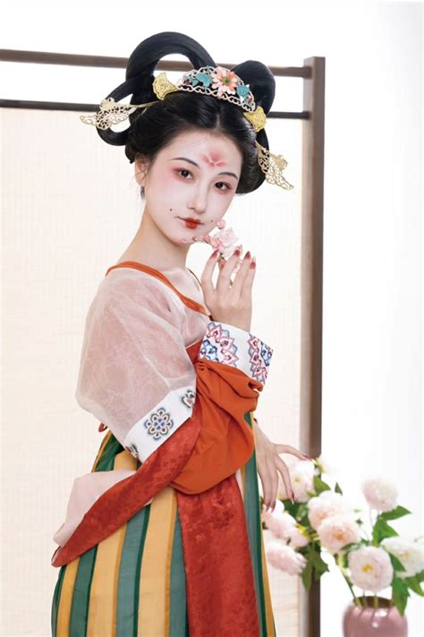 Hanfu Chinese Tang Dynasty Traditional Clothing Hanfu