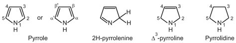 Chemical Synthesis and Reactions of Pyrrole - Solution Parmacy