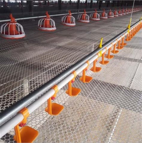 Poultry Farm Automatic Pan Feeding System Floor Raising For Chicken