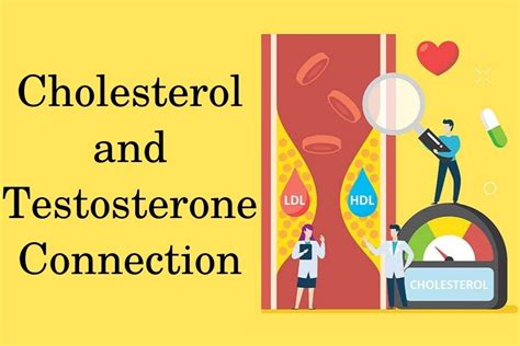 Cholesterol And Testosterone How High And Low T Levels Affect