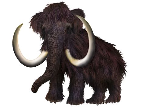 mammoth historic extinct prehistoric royalty