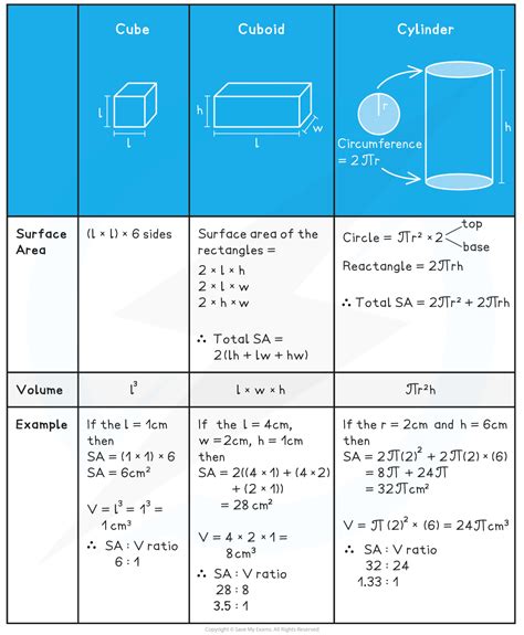 Surface Area To Volume Ratio AQA A Level Biology Revision Notes 2017