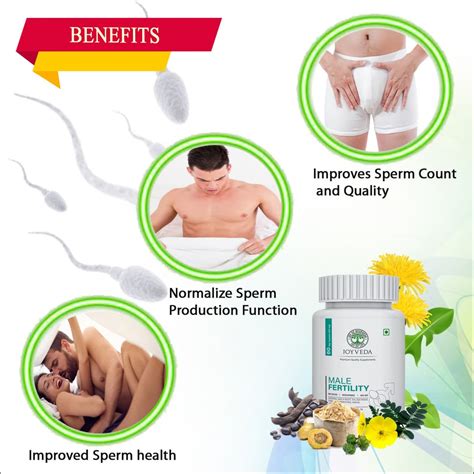 Joyveda Male Infertility Supplement 60 Capsules