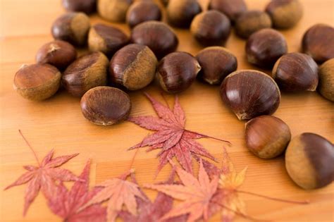 Premium Photo Dried Maple Leaves And Chestnut