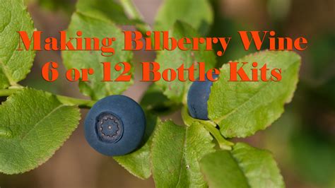 Recipe For Making Bilberry Wine 6 Or 12 Bottle Kits Love Brewing Home Brew Guides And Videos