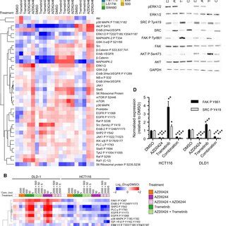 Mek And Src Inhibitors Synergistically Inhibit Proliferation A