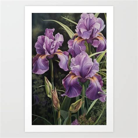 Purple Irises Art Print By Vanoverdesigns Iris Art Purple Iris