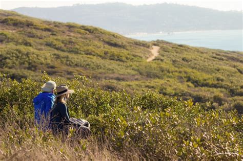 Where the Torrey Pines grow – Torrey Pines State Natural Reserve | Crumbs on Travel