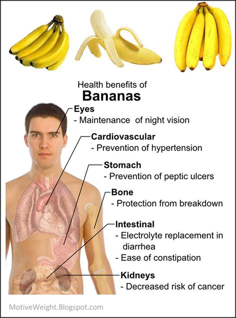 Fitness Stuff Health Benefits Of Bananas