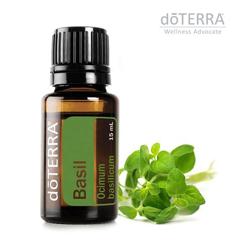 doTerra Basil 15 ml - Stadler Form