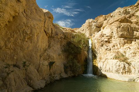 Ein Gedi Edi Travel