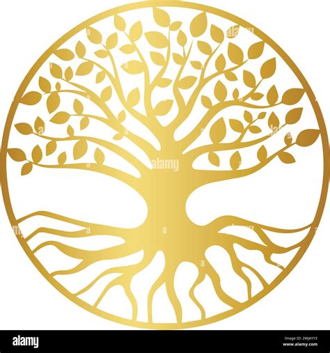 Tree Of Life Stock Vector Images Alamy