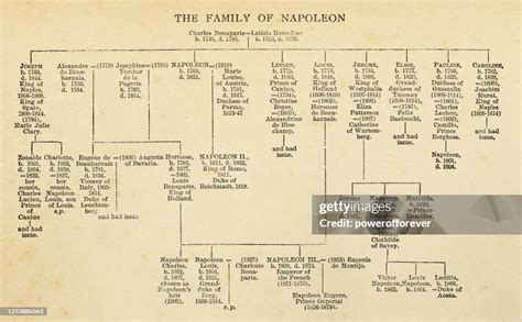 Napoleon Bonapartes Family Tree 19th Century High-Res Vector Graphic ...