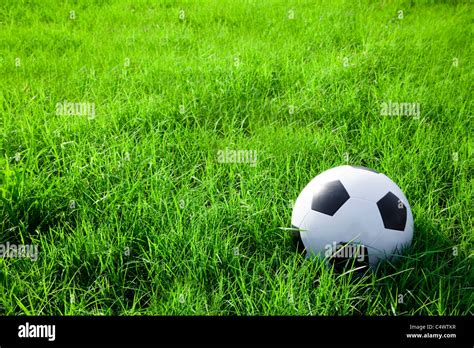 Il Calcio O Il Pallone Da Calcio In Erba Verde Campo Foto Stock Alamy