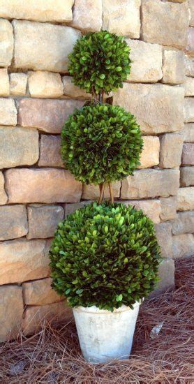 Mills Floral Preserved Boxwood 36 Inch Triple Ball Topiary Topiary