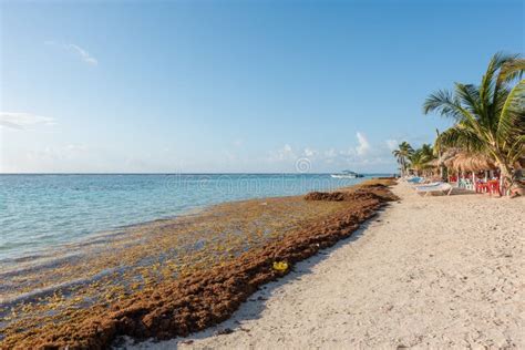 The Beach in Mahahual, Mexico Stock Photo - Image of mexico, coastline: 91695056