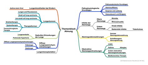 Mindmaps VAM Virtuelle Ausbildungsplattform Medizin UZH