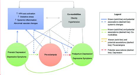 Concept map of associations between risk factors and conditions. Solid ...