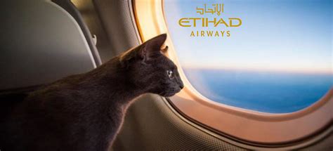 Etihad Havayollar Kabinde Evcil Hayvanlara Izin Veriyor Air News Times