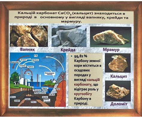 Коллекция «Известняк» купить – цена от ElizLabs